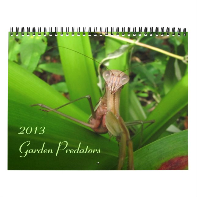 Garden Predators 2013 Calendar (Cover)