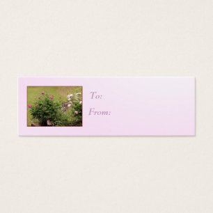 Garden Roses Gift Tag