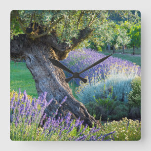 Garden scenic with flowers, France Square Wall Clock