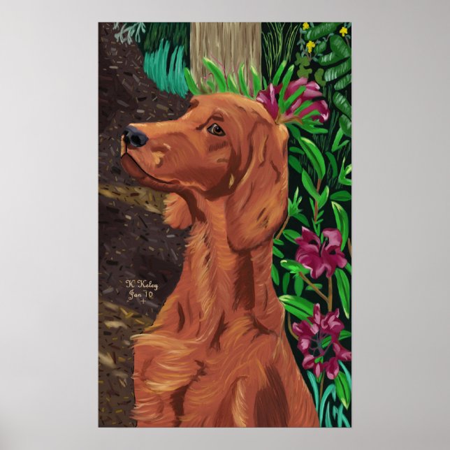 Garden Setter poster (Front)