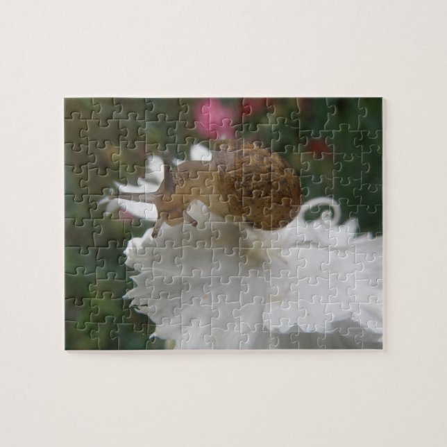Garden Snail and White Carnation Puzzle (Horizontal)