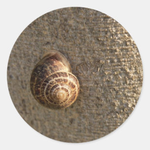 Garden Snail Nature Photography Classic Round Sticker