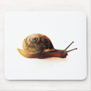 Garden Snail Nature Photography Mouse Pad