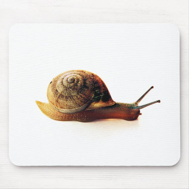 Garden Snail Nature Photography Mouse Pad (Front)