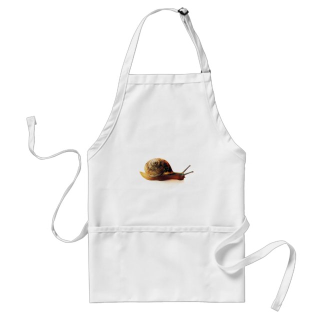 Garden Snail Nature Photography Standard Apron (Front)