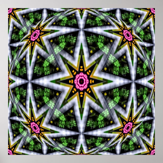 Garden  Star Ball... Poster (Front)