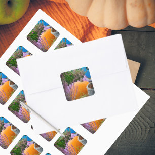 Garden still life with an orange pumpkin square sticker