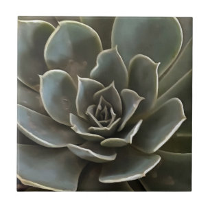 Garden Succulent Green Grey Tones Realistic Art Tile