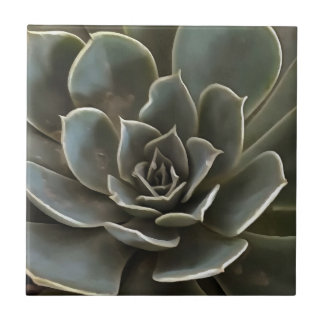 Garden Succulent Green Grey Tones Realistic Art Tile