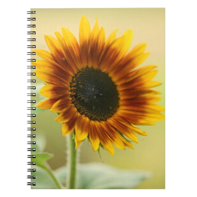 Garden Sunflower Spiral Notebook (Front)