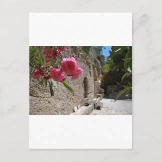 Garden Tomb Jeruselum Isreal Postcard