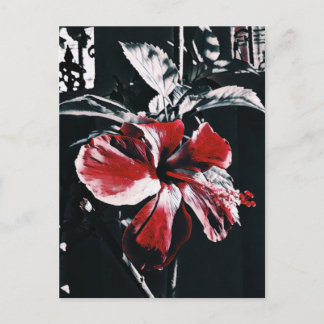 Garden Tropical Hibiscus Artwork Holiday Postcard