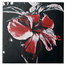Garden Tropical Hibiscus Artwork