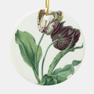 Garden Tulip, from 'Opera Botanica', engraved by L Ceramic Tree Decoration