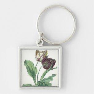 Garden Tulip, from 'Opera Botanica', engraved by L Key Ring