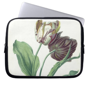 Garden Tulip, from 'Opera Botanica', engraved by L Laptop Sleeve