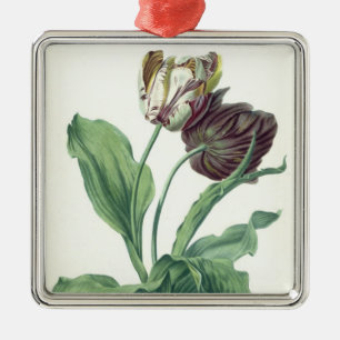 Garden Tulip, from 'Opera Botanica', engraved by L Metal Tree Decoration