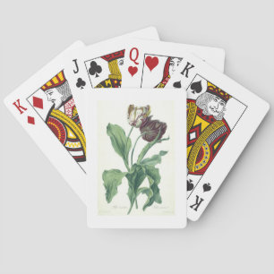 Garden Tulip, from 'Opera Botanica', engraved by L Playing Cards