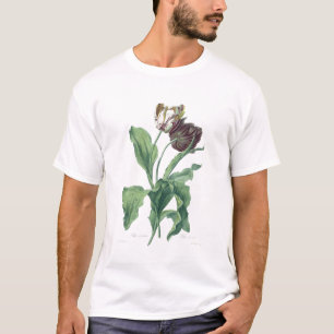 Garden Tulip, from 'Opera Botanica', engraved by L T-Shirt