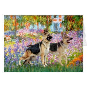 Garden - Two German Shepherds