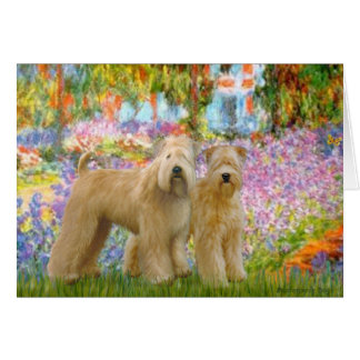 Garden - Two Wheaten Terriers