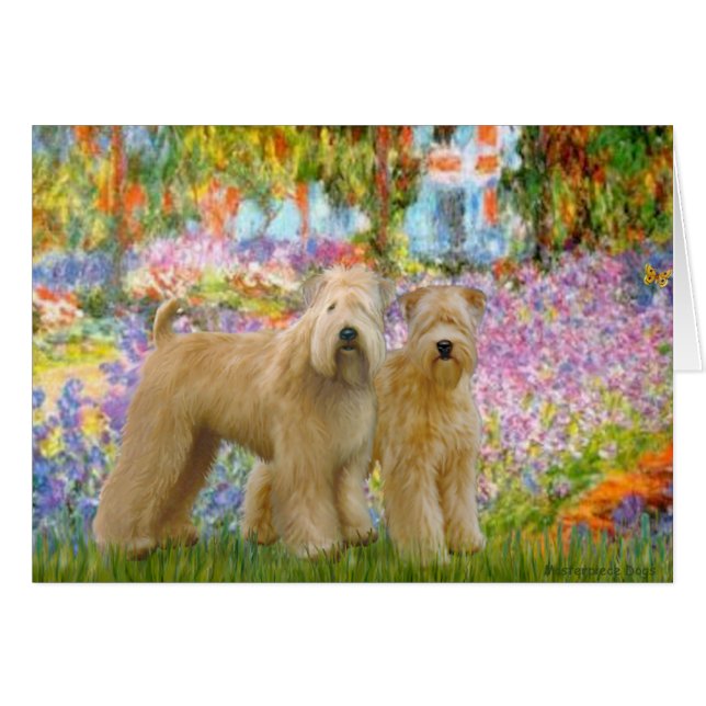 Garden - Two Wheaten Terriers (Front Horizontal)