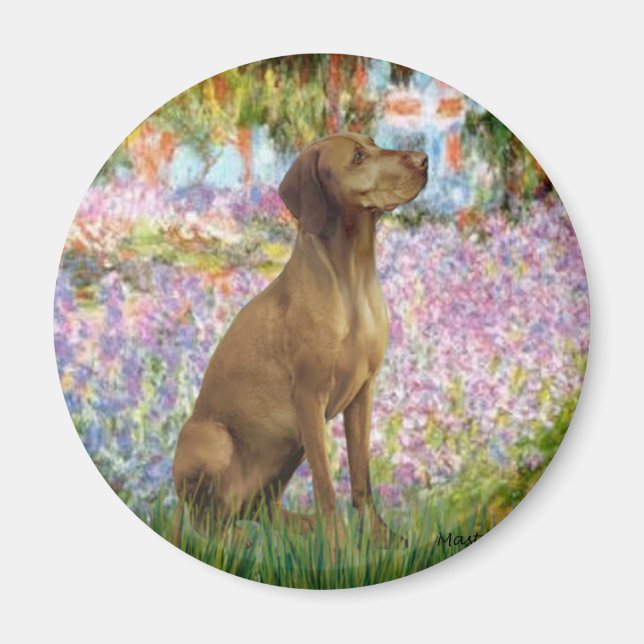 Garden - Vizsla 1 Magnet (Front)