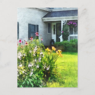 Garden with Coneflowers and Lilies Postcard