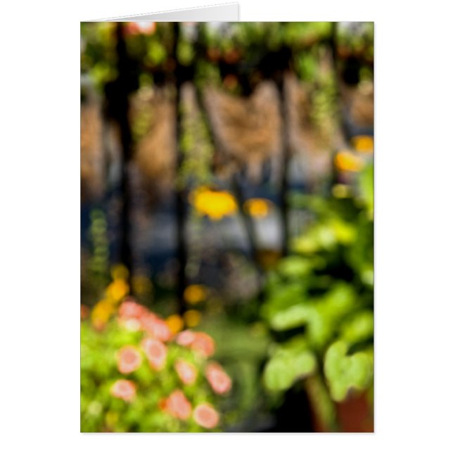 Garden With Wrought Iron (Front)