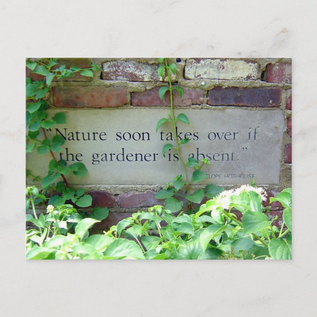 Gardener and Nature Quotation Postcard (Front)