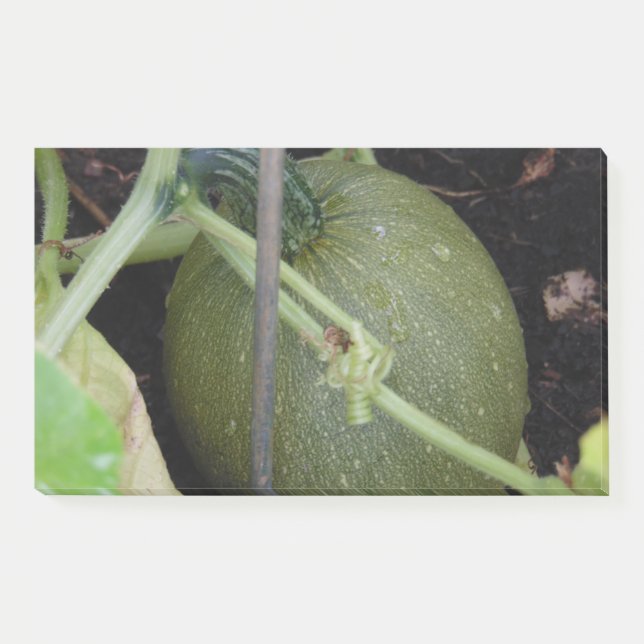 Gardener's Squash Post-it Notes (Front)