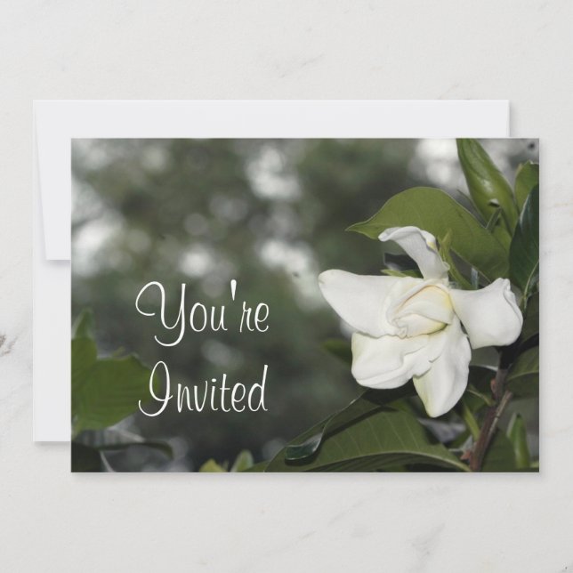 Gardenia Background Invitation (Front)