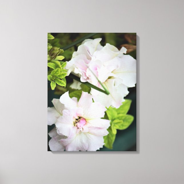 Gardenia Floral Canvas Print (Front)