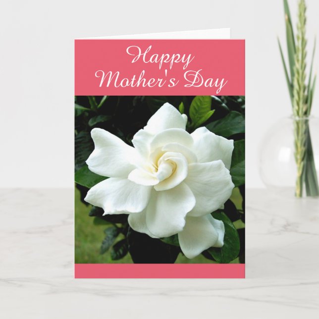 Gardenia Greeting Card (Front)