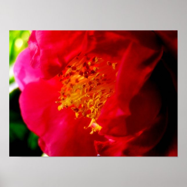 Gardenia Love Poster (Front)