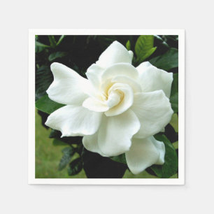 Gardenia Napkin