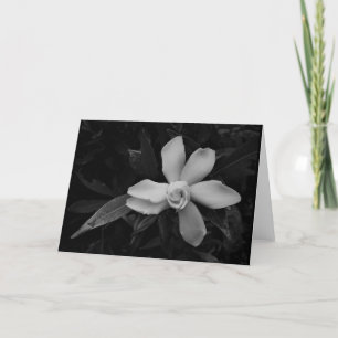 Gardenia - noir, card