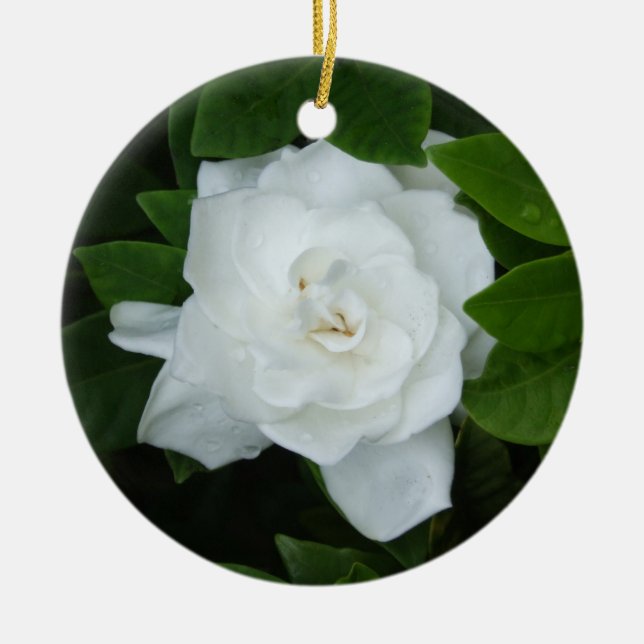 Gardenia Ornament (Front)