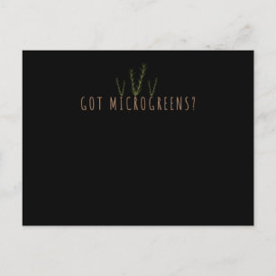 Gardening Herbs Micro Greens Postcard