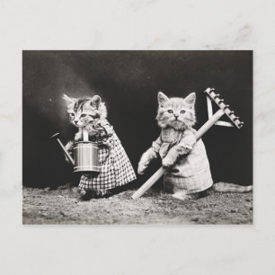 Gardening Kitties Kitty with Rake Postcard