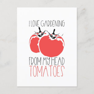 Gardening Tomatoes Gardener Gift Postcard
