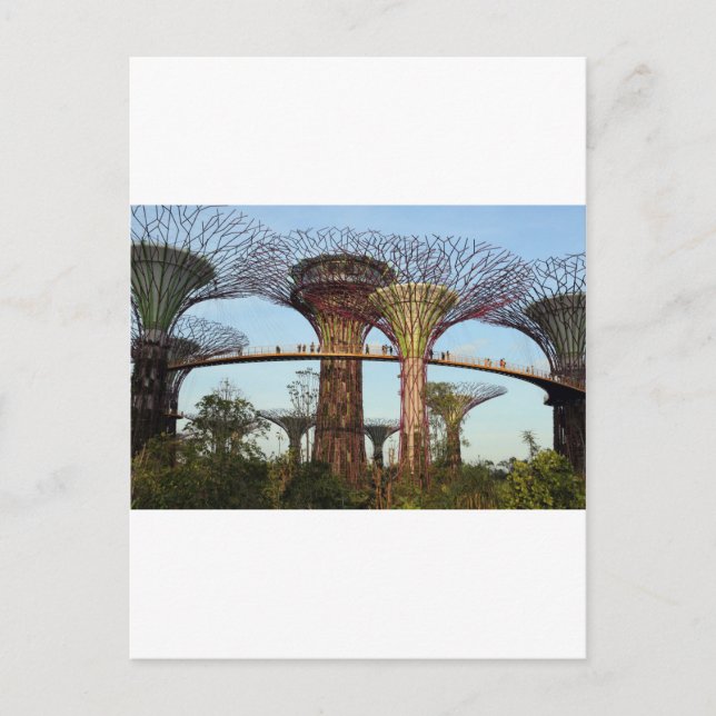 Gardens by the Bay Singapore environmental Postcard (Front)