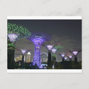 Gardens by the Bay Supertree Grove light show Postcard