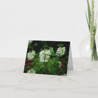 Gardens of Niagara Thank You Card