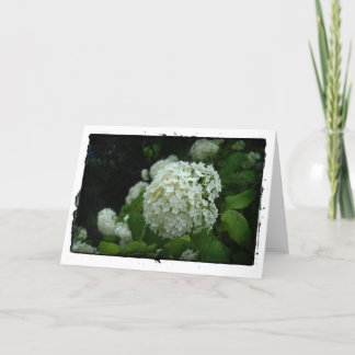 Gardens of Sweden Card