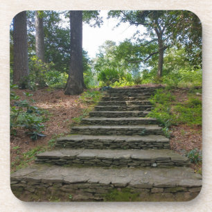 gardens walkway stairs stone stairs bushes trees coaster