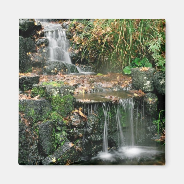 Gardent Delight Magnet (Front)