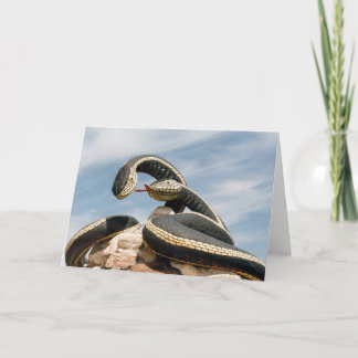 GARDER SNAKE  CARD