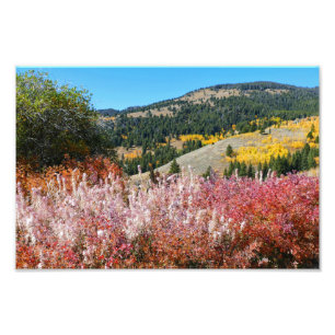 Gardiner Mountain Paint Photo Print