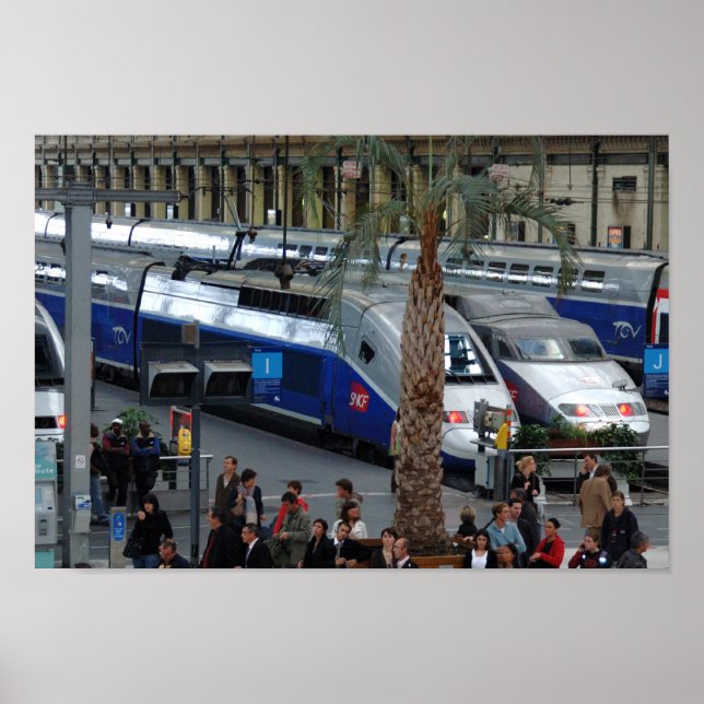 Gare de Lyon. Paris, France Poster (Front)
